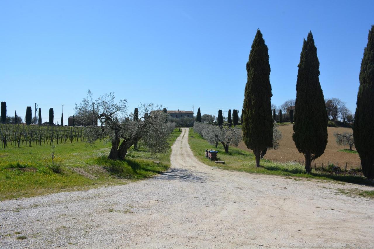 Scappo In Umbria, Casale Monti Villa Montoro  Buitenkant foto